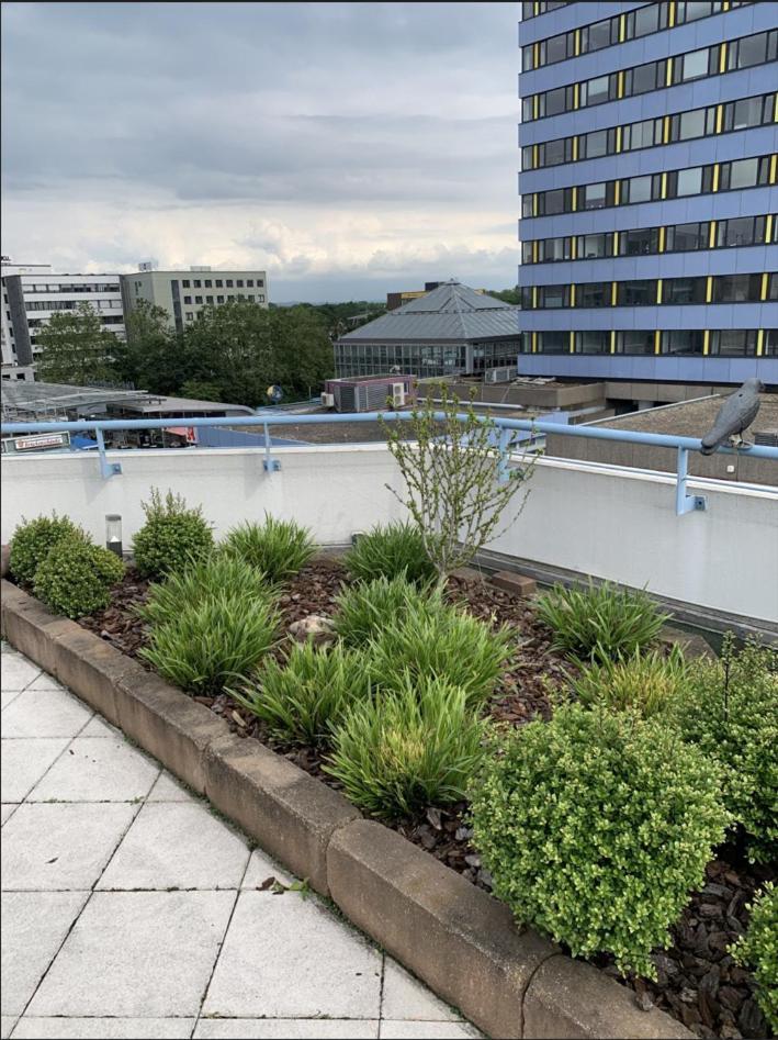 Im Herzen Von Wiesdorf- Blick Auf Das Bayer-Kreuz -Appartement Mit 2 Schlafzimmern-Fuer 3 Personen -Zentral Gelegen - Friedrich Ebert Platz 5A , 4Te Etage - Dachterrasse Und Sauna - Kaution Pflicht - Leverkusen Exterior foto